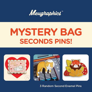 SECOND PINS MYSTERY BAGS